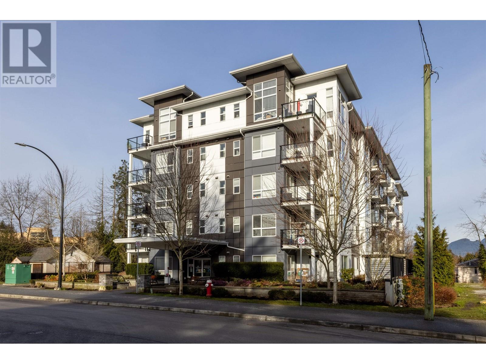 403 22315 122 Avenue, Maple Ridge, British Columbia  V2X 4K7 - Photo 33 - R2959366