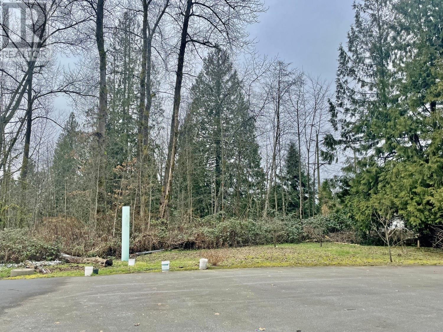 25982 Dewdney Trunk Road, Maple Ridge, British Columbia  V4R 1Y4 - Photo 7 - R2959412