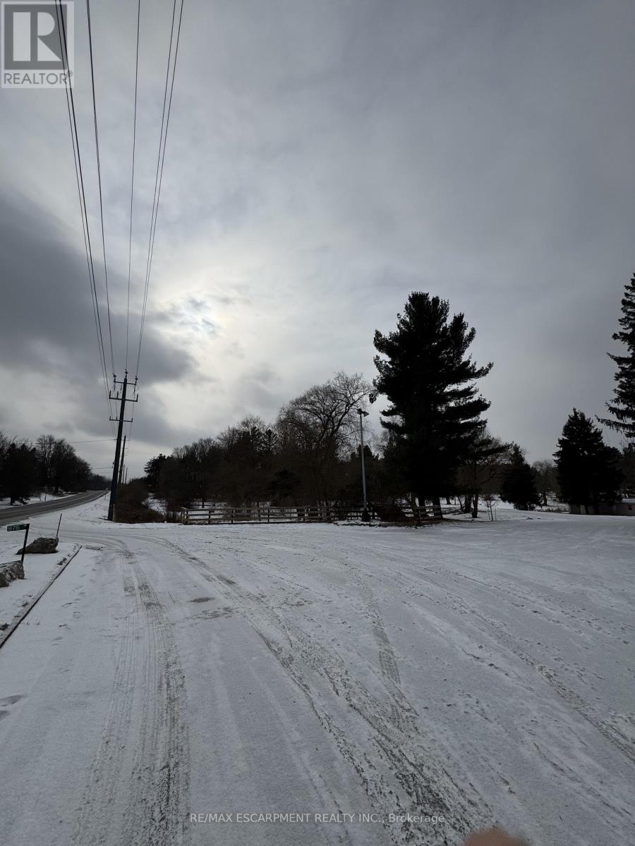 976 52 Highway N, Hamilton, Ontario  L0R 1J0 - Photo 3 - X11938464