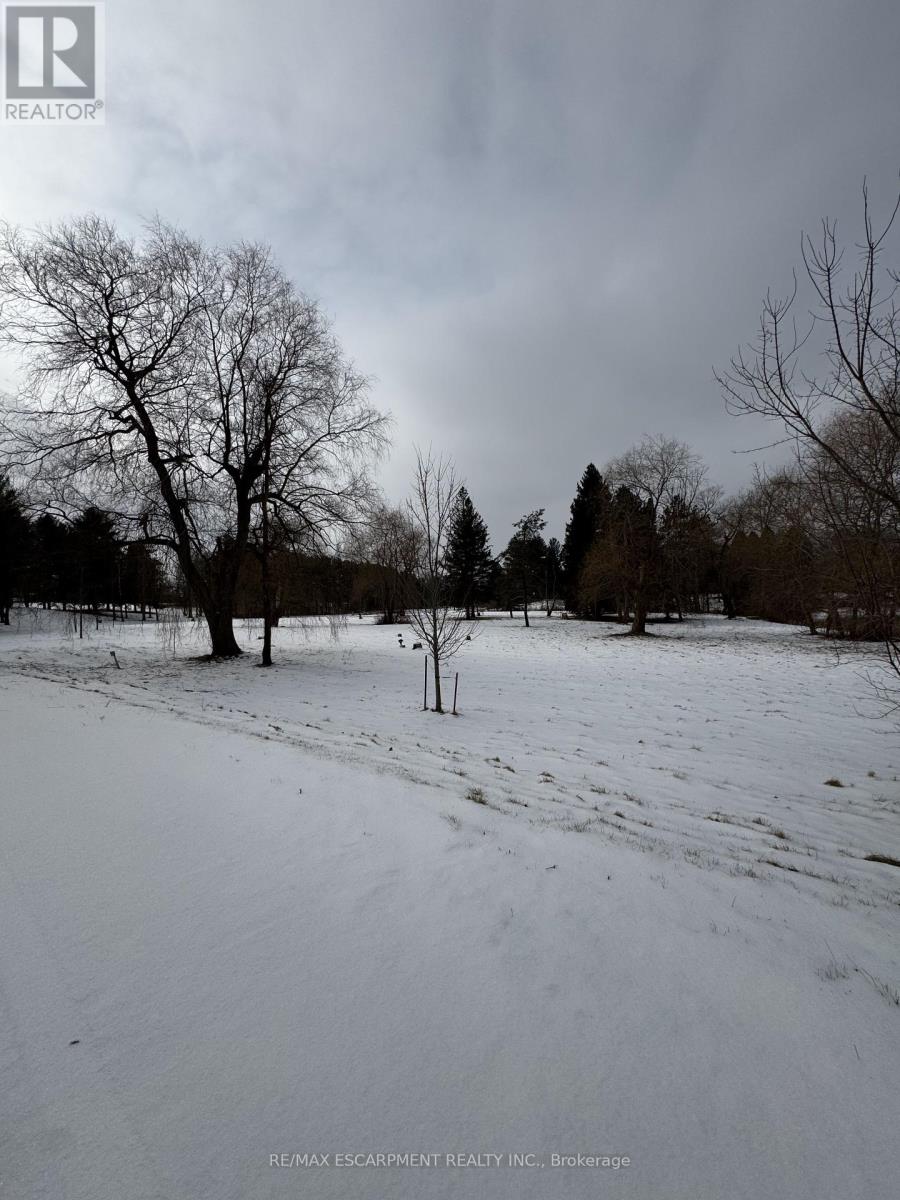 976 52 Highway N, Hamilton, Ontario  L0R 1J0 - Photo 4 - X11938464