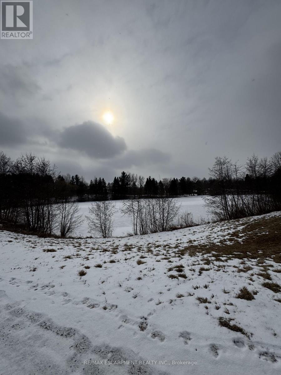 976 52 Highway N, Hamilton, Ontario  L0R 1J0 - Photo 6 - X11938464