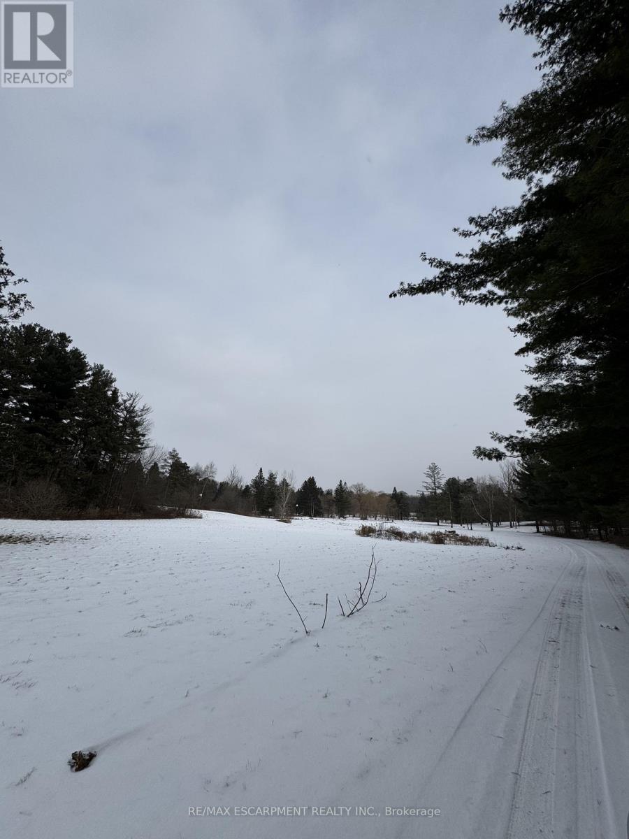976 52 Highway N, Hamilton, Ontario  L0R 1J0 - Photo 7 - X11938464