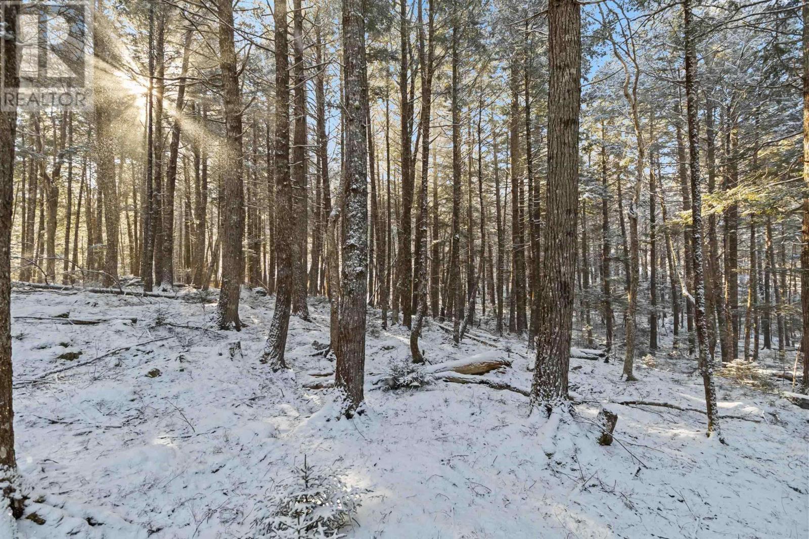 32 Bridle Path, Labelle, Nova Scotia  B0T 1E0 - Photo 49 - 202501527