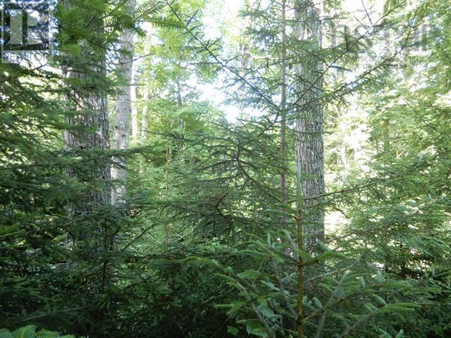 80 Acres Scotsburn Road, West Branch, Nova Scotia  B0K 1R0 - Photo 10 - 202501542