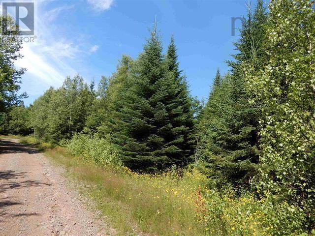 80 Acres Scotsburn Road, West Branch, Nova Scotia  B0K 1R0 - Photo 14 - 202501542