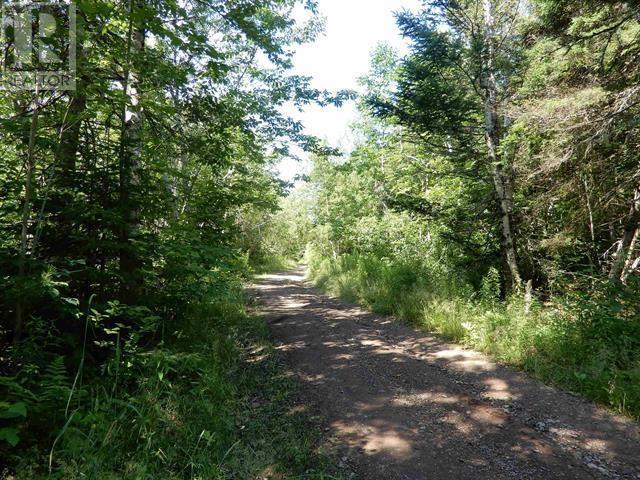 80 Acres Scotsburn Road, West Branch, Nova Scotia  B0K 1R0 - Photo 2 - 202501542