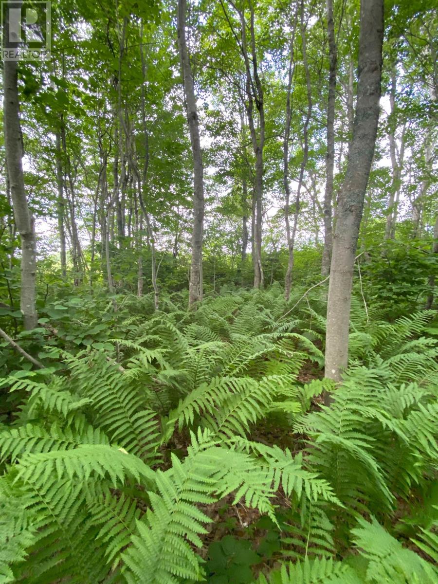 Lot Enmore Shore, Enmore, Prince Edward Island  C0B 1J0 - Photo 6 - 202501551