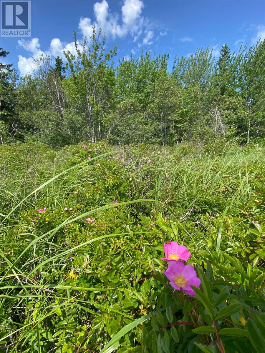 Lot Enmore Shore, Enmore, Prince Edward Island  C0B 1J0 - Photo 8 - 202501551
