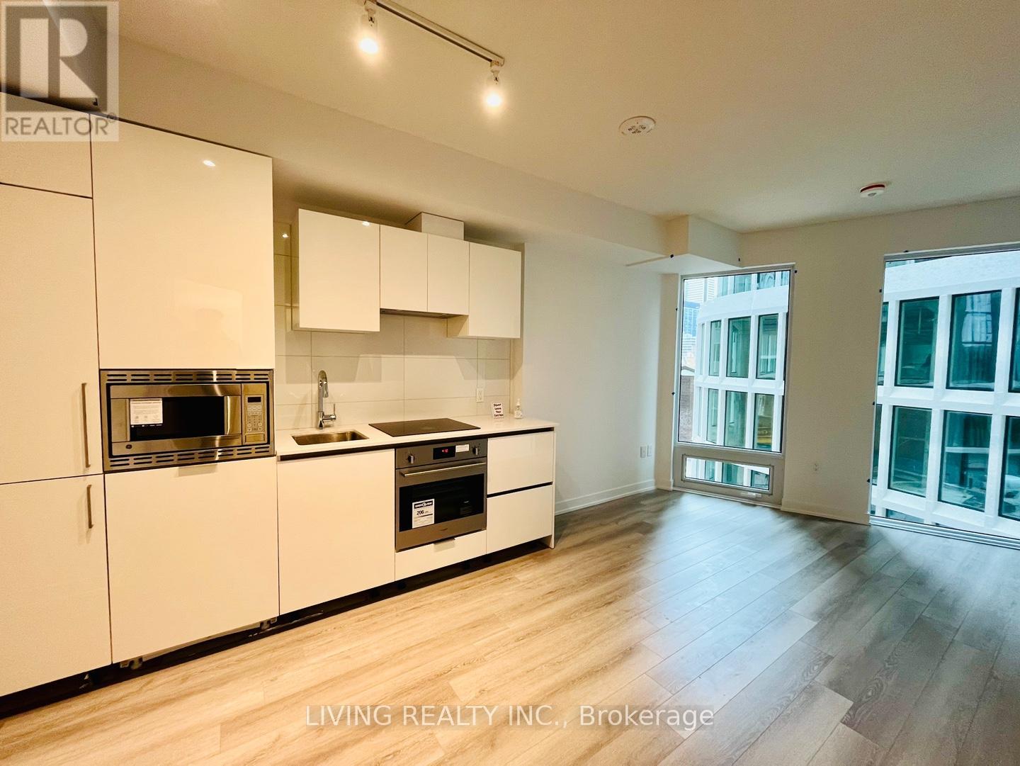 405 - 238 Simcoe Street, Toronto, Ontario  M5T 0E2 - Photo 4 - C11939114