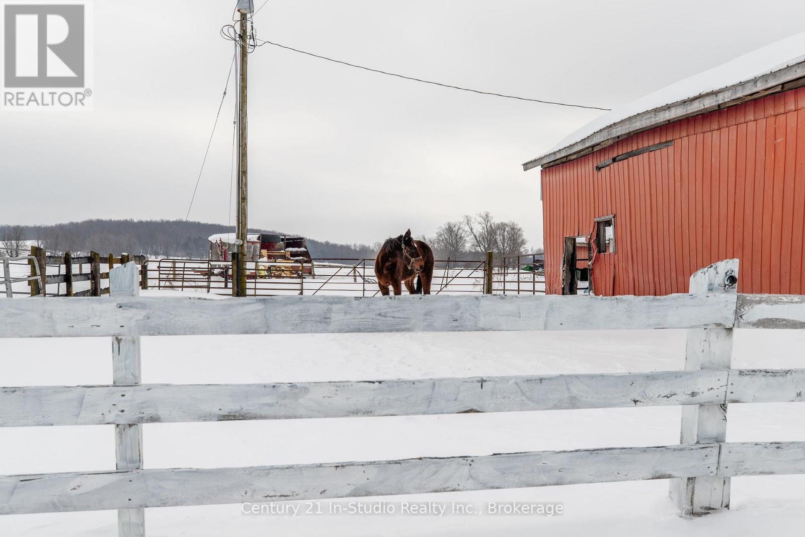 425158 Irish Lake Road, Grey Highlands (Markdale), Ontario  N0C 1H0 - Photo 13 - X11939676