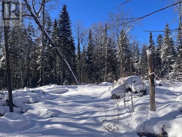12407 County Rd 503, Tory Hill, Ontario  K0L 2Y0 - Photo 47 - 40691366