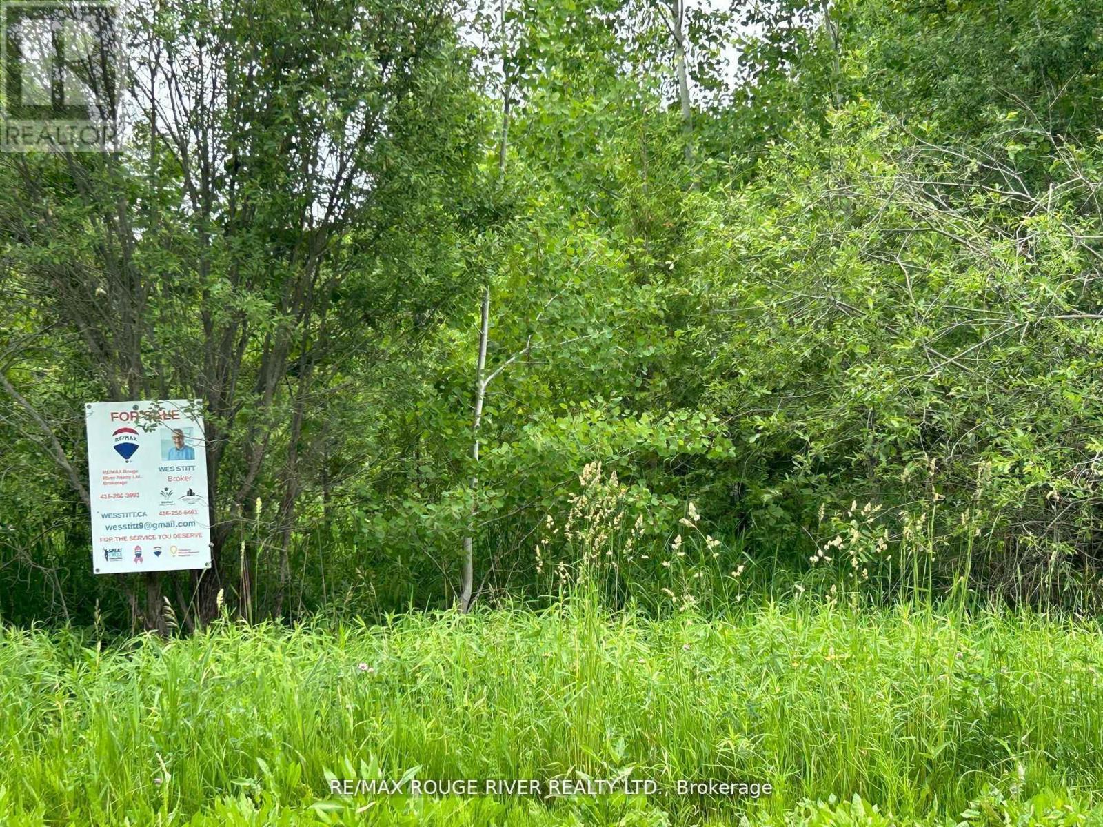 Con 8 Ptlot7rdpl74pt44-49, Trent Hills, Ontario  K0K 3K0 - Photo 2 - X11940119