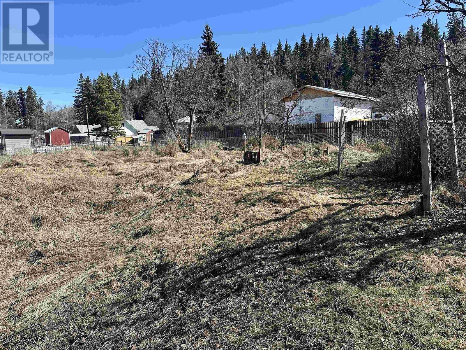 272 W 3rd Street, Vanderhoof, British Columbia V0J 3A0 - Photo 12 - R2956396