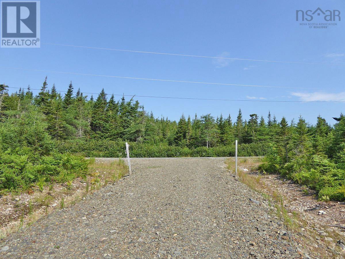 Lot 46 Fourchu Road, Belfry Lake, Nova Scotia  B1K 2E7 - Photo 10 - 202501602