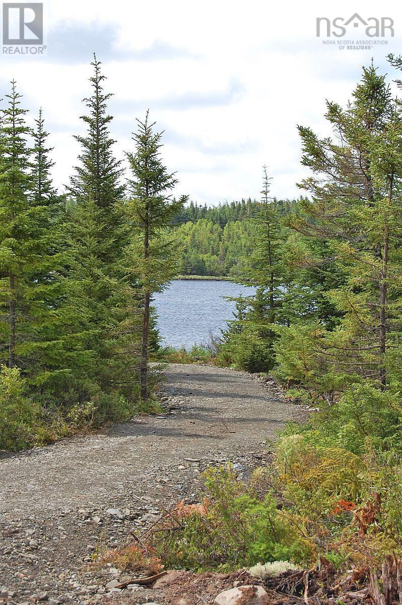 Lot 46 Fourchu Road, Belfry Lake, Nova Scotia  B1K 2E7 - Photo 11 - 202501602
