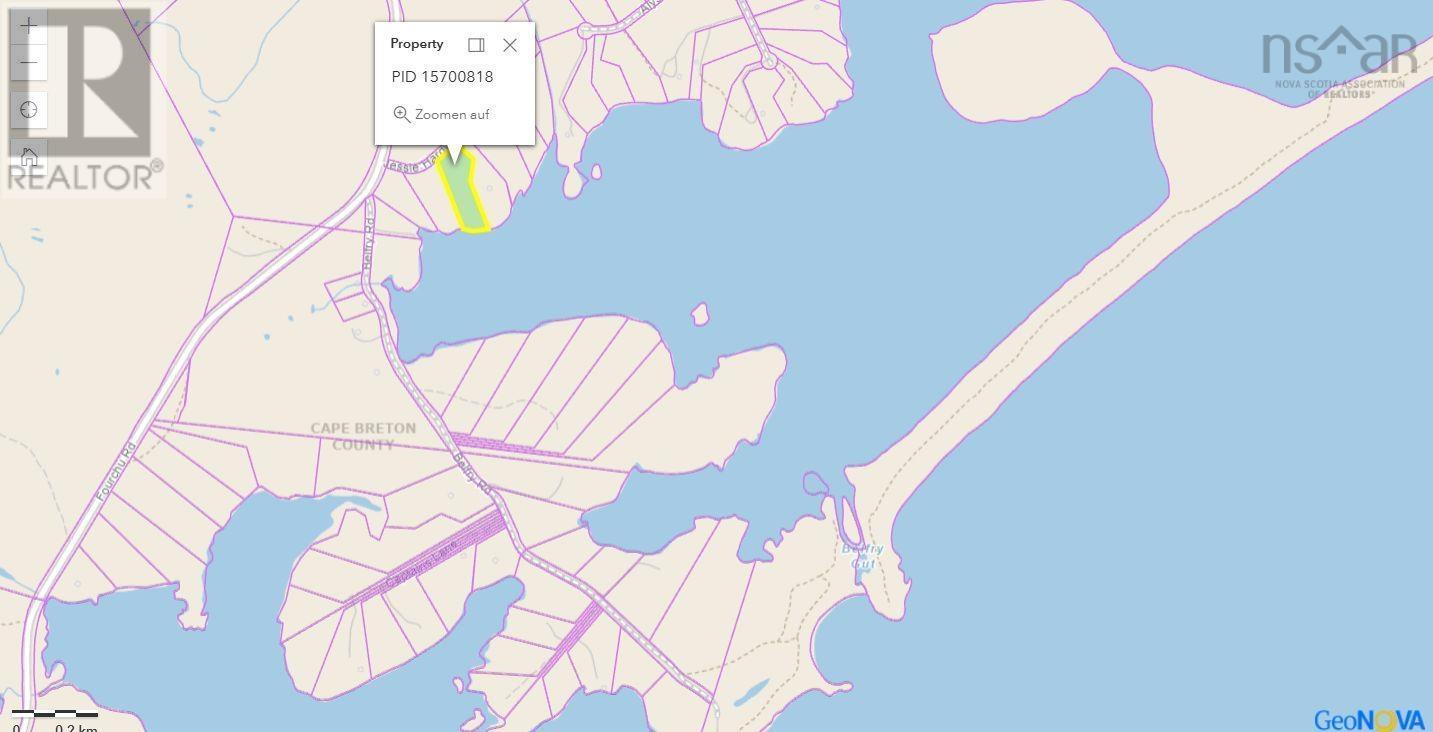 Lot 46 Fourchu Road, Belfry Lake, Nova Scotia  B1K 2E7 - Photo 22 - 202501602