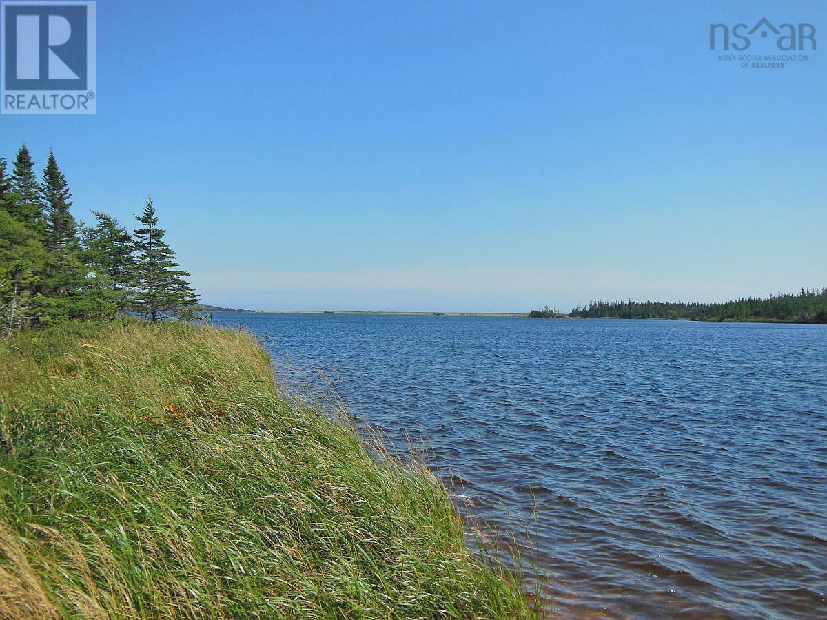 Lot 46 Fourchu Road, Belfry Lake, Nova Scotia  B1K 2E7 - Photo 3 - 202501602