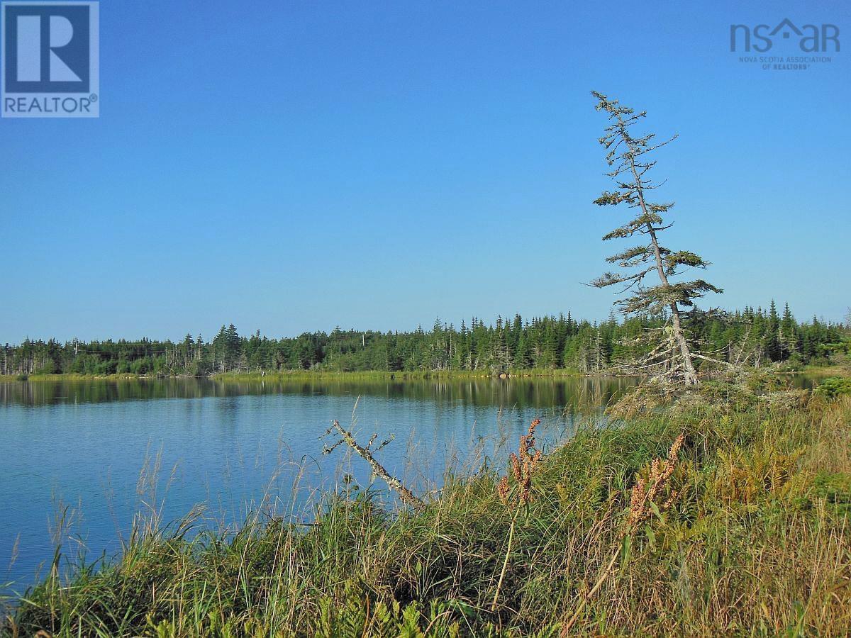 Lot 46 Fourchu Road, Belfry Lake, Nova Scotia  B1K 2E7 - Photo 4 - 202501602