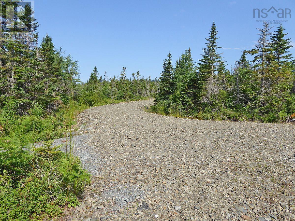 Lot 46 Fourchu Road, Belfry Lake, Nova Scotia  B1K 2E7 - Photo 8 - 202501602