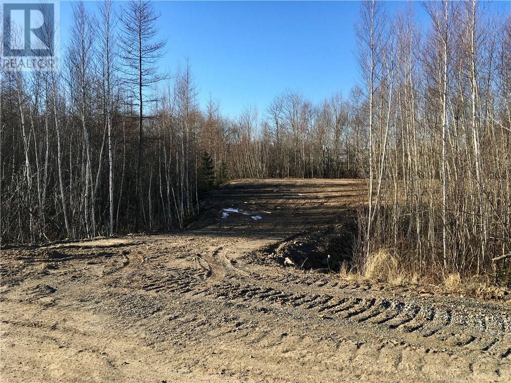 Lot 21-6 Dupuis, Cocagne, New Brunswick  E4R 2Z3 - Photo 6 - M139951