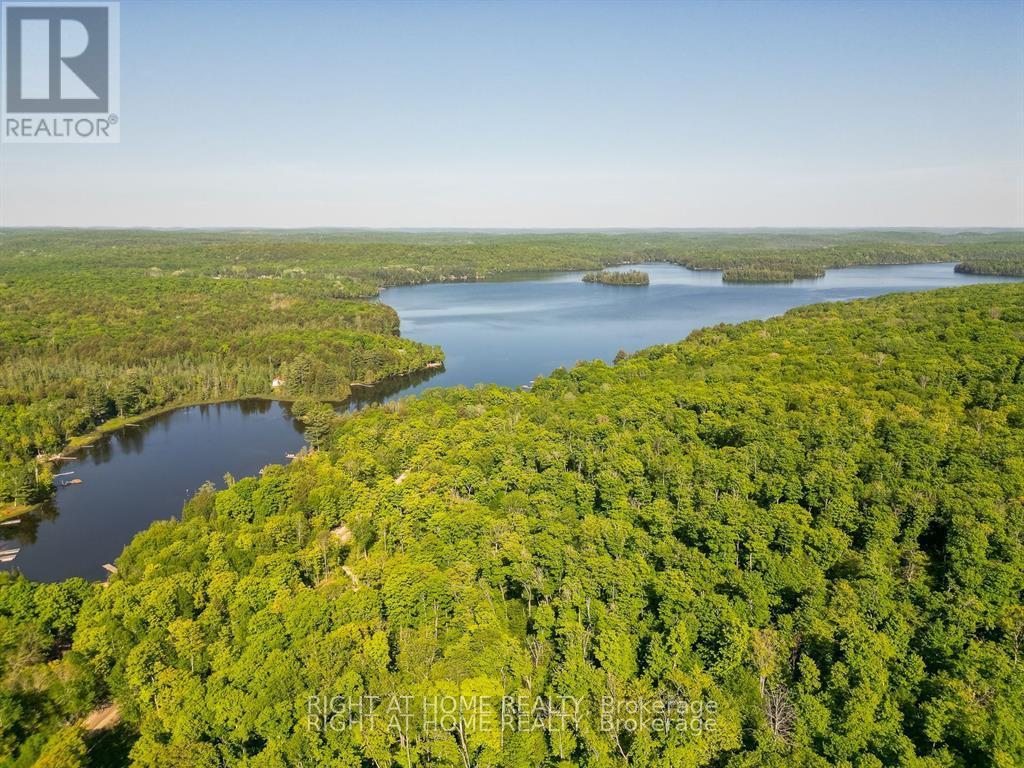 870 Relative Road, Armour, Ontario  P0A 1C0 - Photo 7 - X11929602