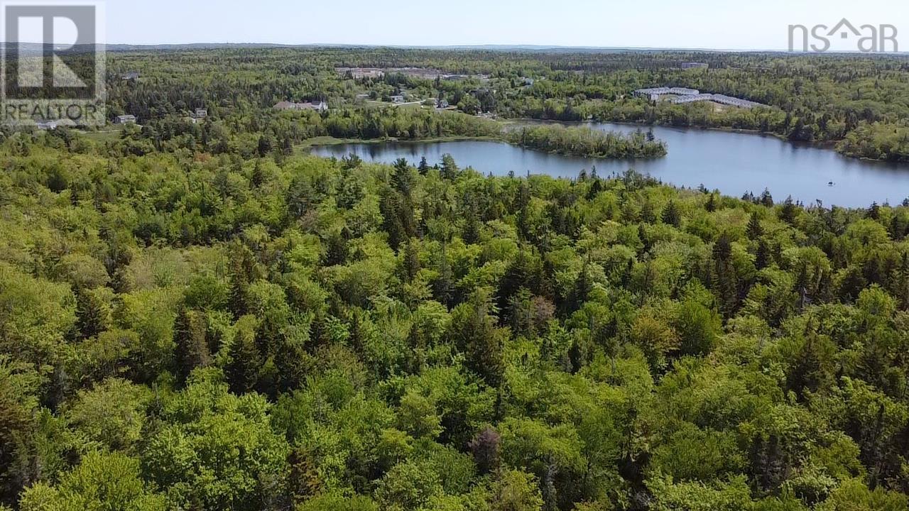 20 Byblos Road, Upper Hammonds Plains, Nova Scotia  B4B 1Y1 - Photo 6 - 202501623