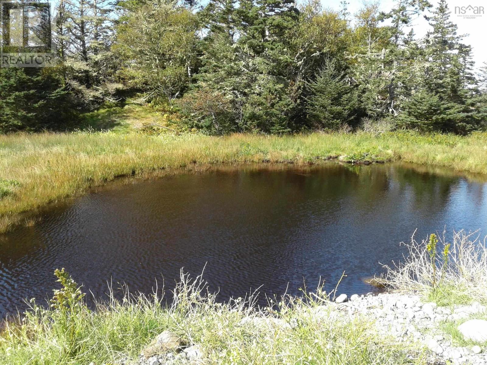 Raspberry Island, Forbes Point, Nova Scotia  B0W 1E0 - Photo 13 - 202501487