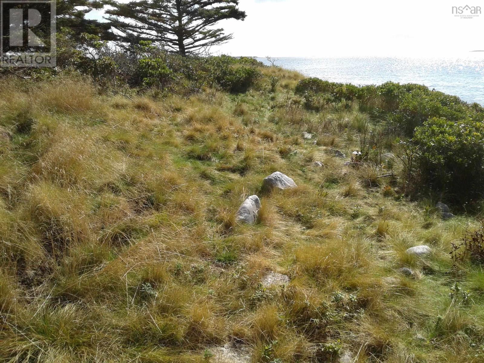 Raspberry Island, Forbes Point, Nova Scotia  B0W 1E0 - Photo 14 - 202501487