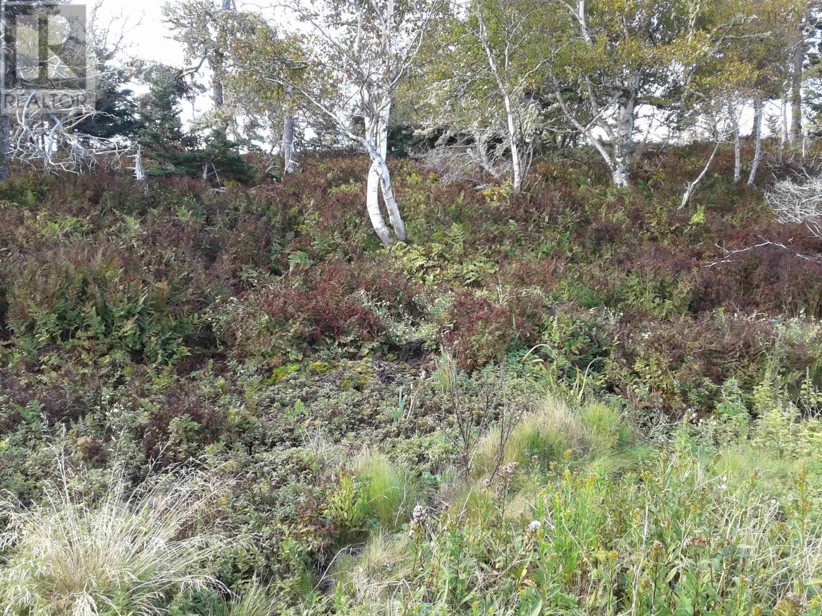 Raspberry Island, Forbes Point, Nova Scotia  B0W 1E0 - Photo 15 - 202501487