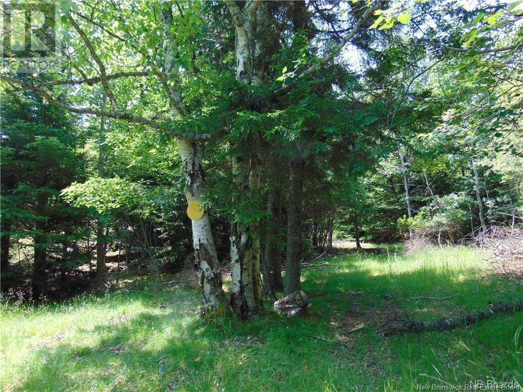 98 Richardson Road, Richardson, New Brunswick  E5V 1S5 - Photo 5 - NB111544