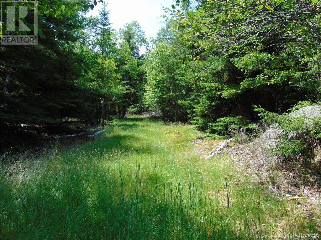 98 Richardson Road, Richardson, New Brunswick  E5V 1S5 - Photo 7 - NB111544