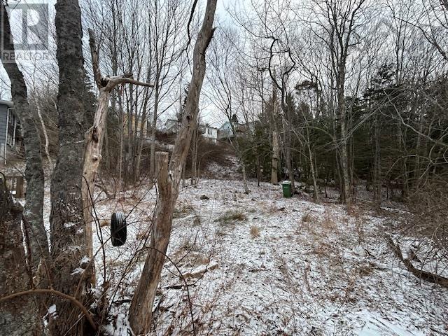 1173 Riverside Drive, Lower Sackville, Nova Scotia  B4C 1B8 - Photo 3 - 202501651