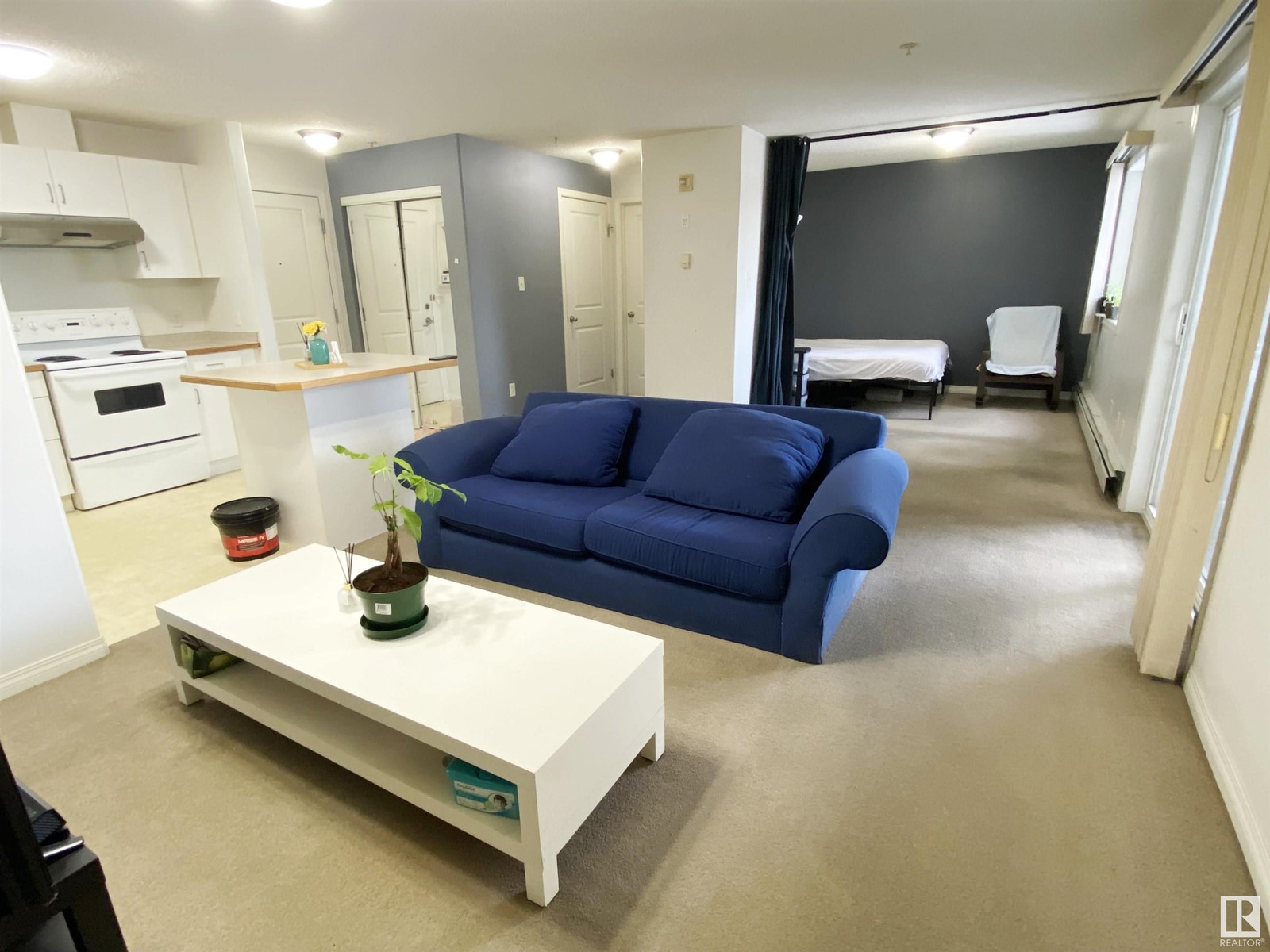 Property at #306 11325 83 ST NW image 3
