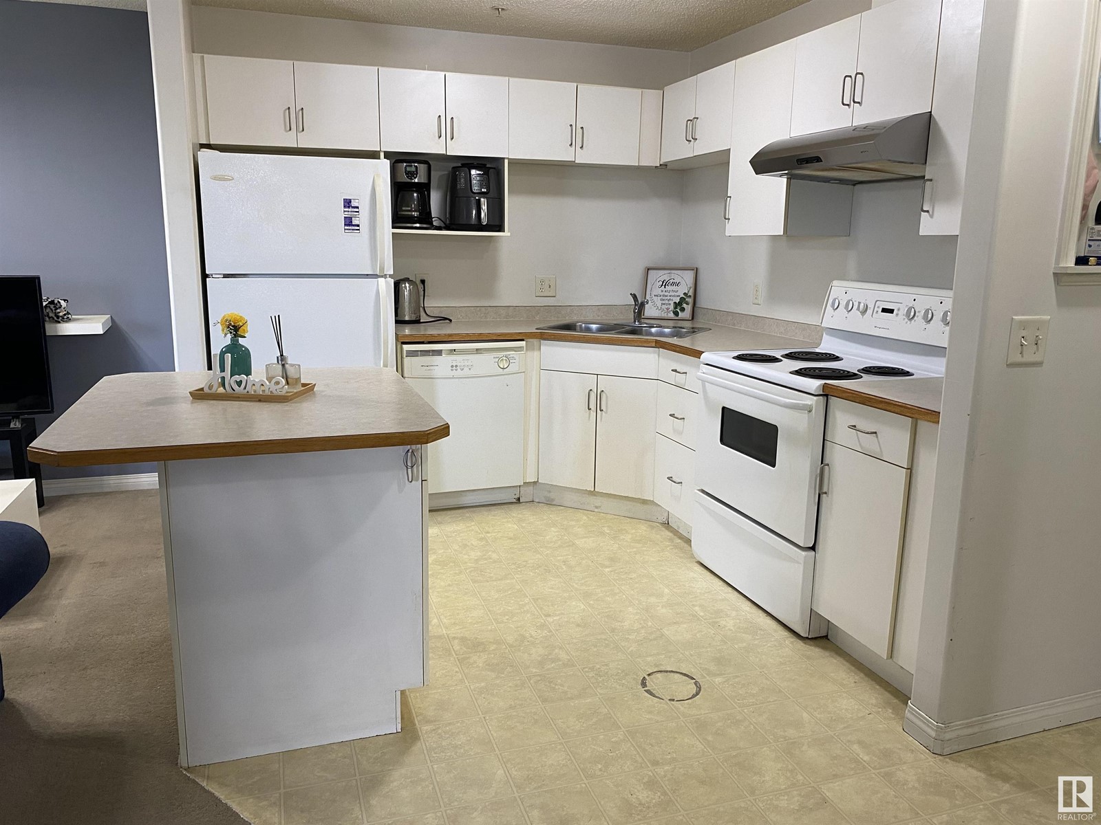 Property at #306 11325 83 ST NW image 4