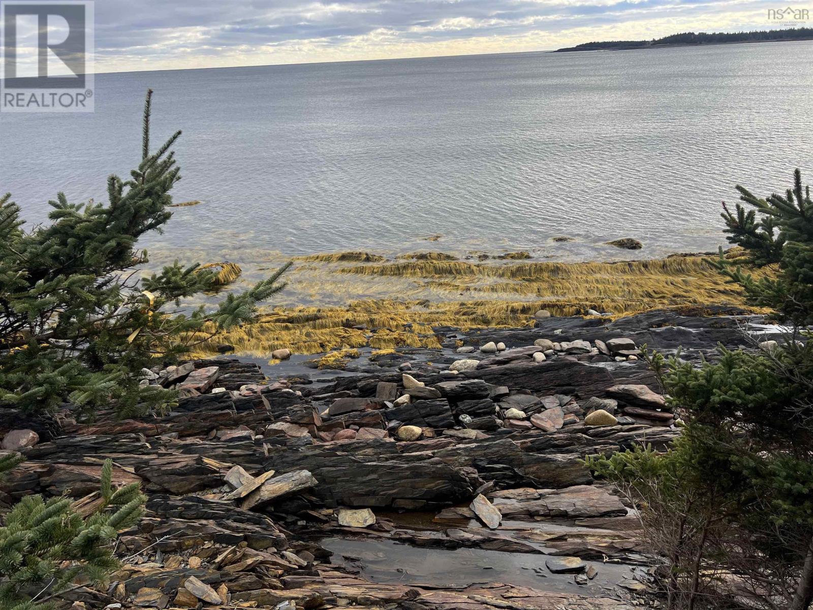 200 Middle Road, Kingsburg, Nova Scotia  B0J 2X0 - Photo 44 - 202501655