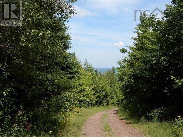 80 Acres Scotsburn Road, West Branch, Nova Scotia  B0K 1R0 - Photo 3 - 202501542