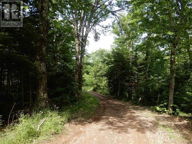 80 Acres Scotsburn Road, West Branch, Nova Scotia  B0K 1R0 - Photo 8 - 202501542