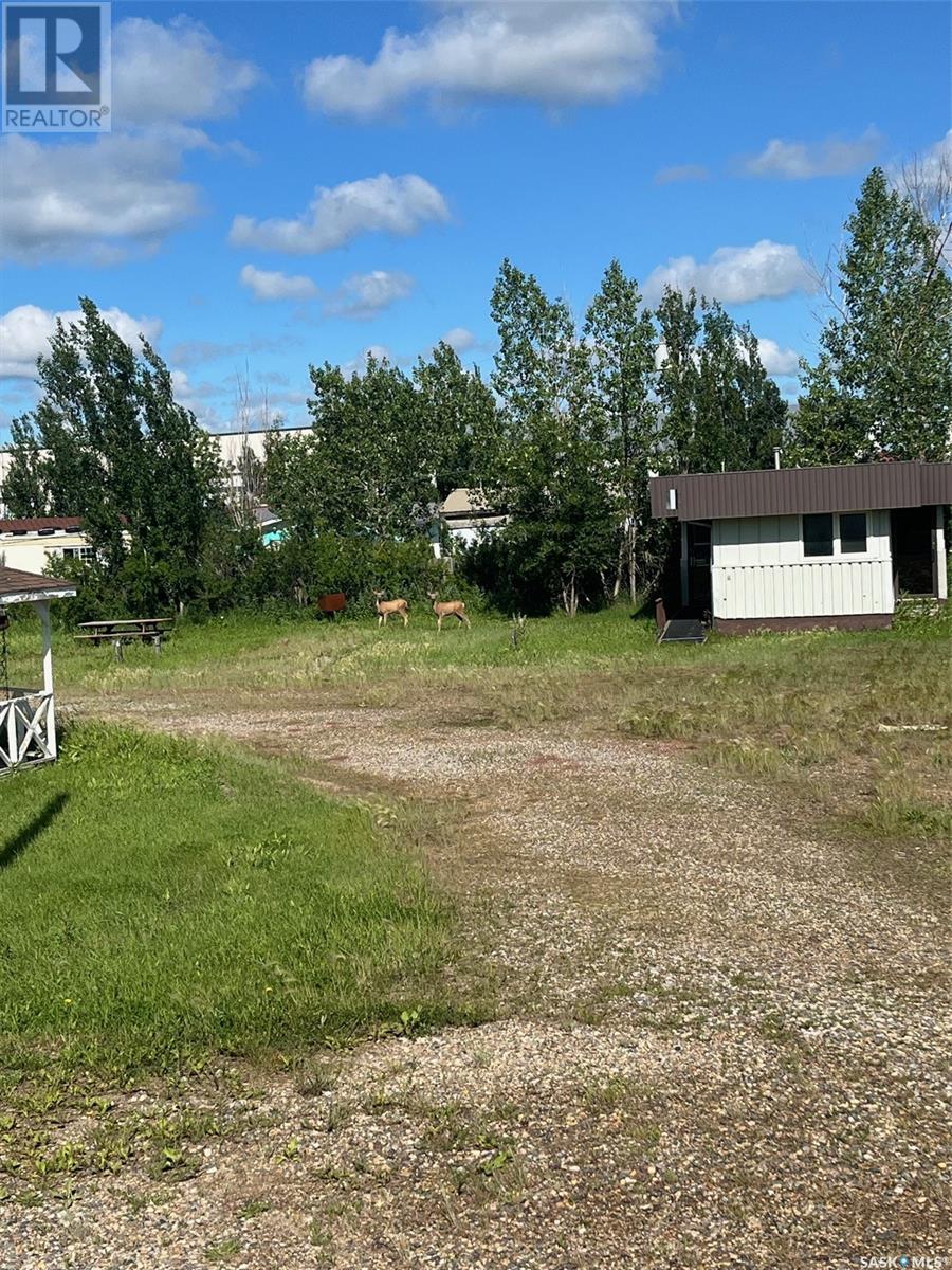 110 Malmgren Drive, Estevan Rm No. 5, Saskatchewan  S4A 2A7 - Photo 4 - SK993497