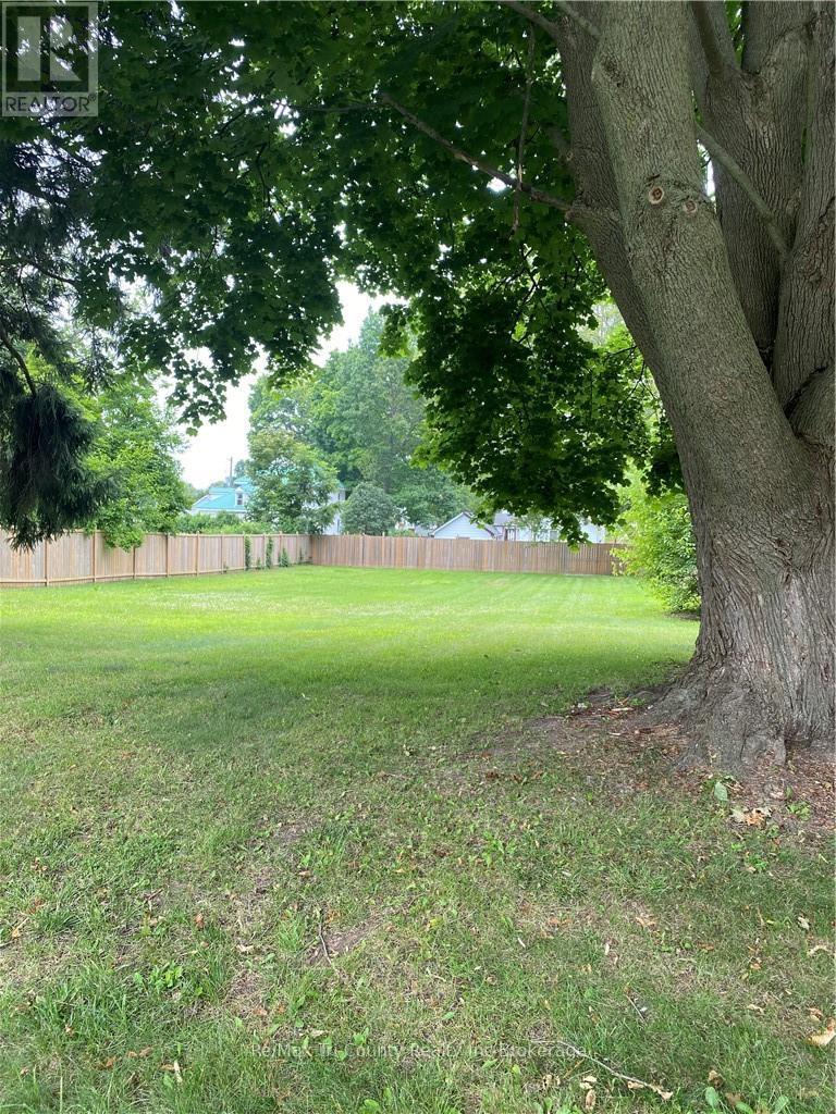 48 Milton Street, Bayham, Ontario  N0J 1Z0 - Photo 1 - X11942107