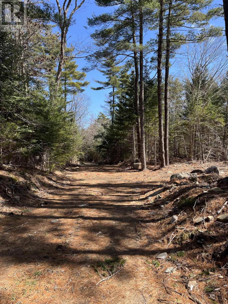 Lot Wrights Road, Shelburne, Nova Scotia  B0T 1W0 - Photo 4 - 202501684