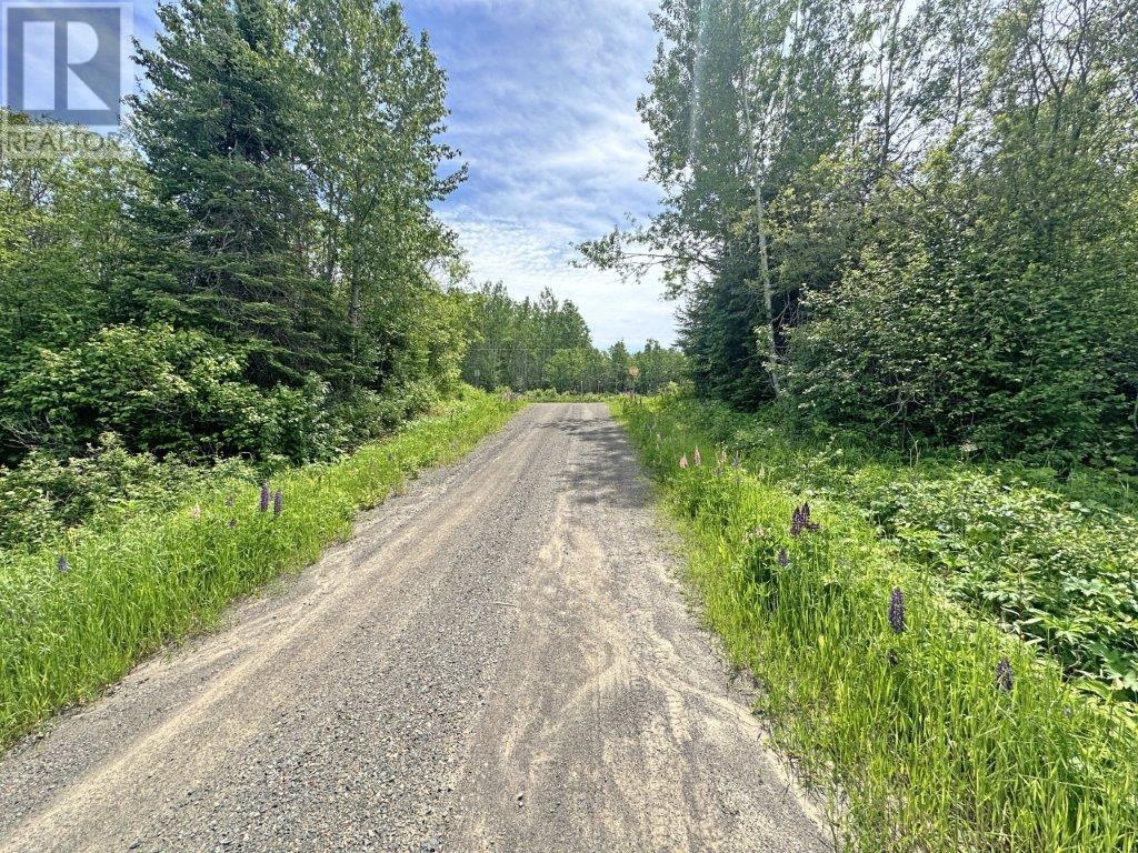 Part 4 Larson Road, Neebing, Ontario  P7L 0A4 - Photo 25 - TB241920