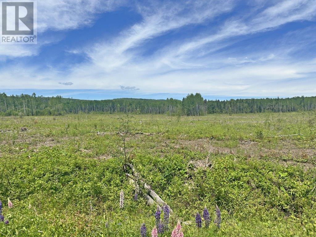 Part 3 Larson Road, Neebing, Ontario  P7L 0A4 - Photo 19 - TB241919