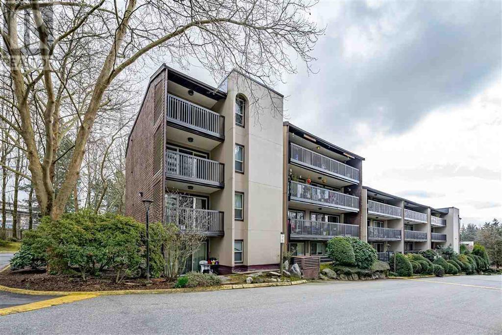 501 9847 MANCHESTER DRIVE, burnaby, British Columbia