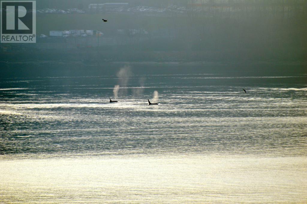 405 3873 CATES LANDING WAY