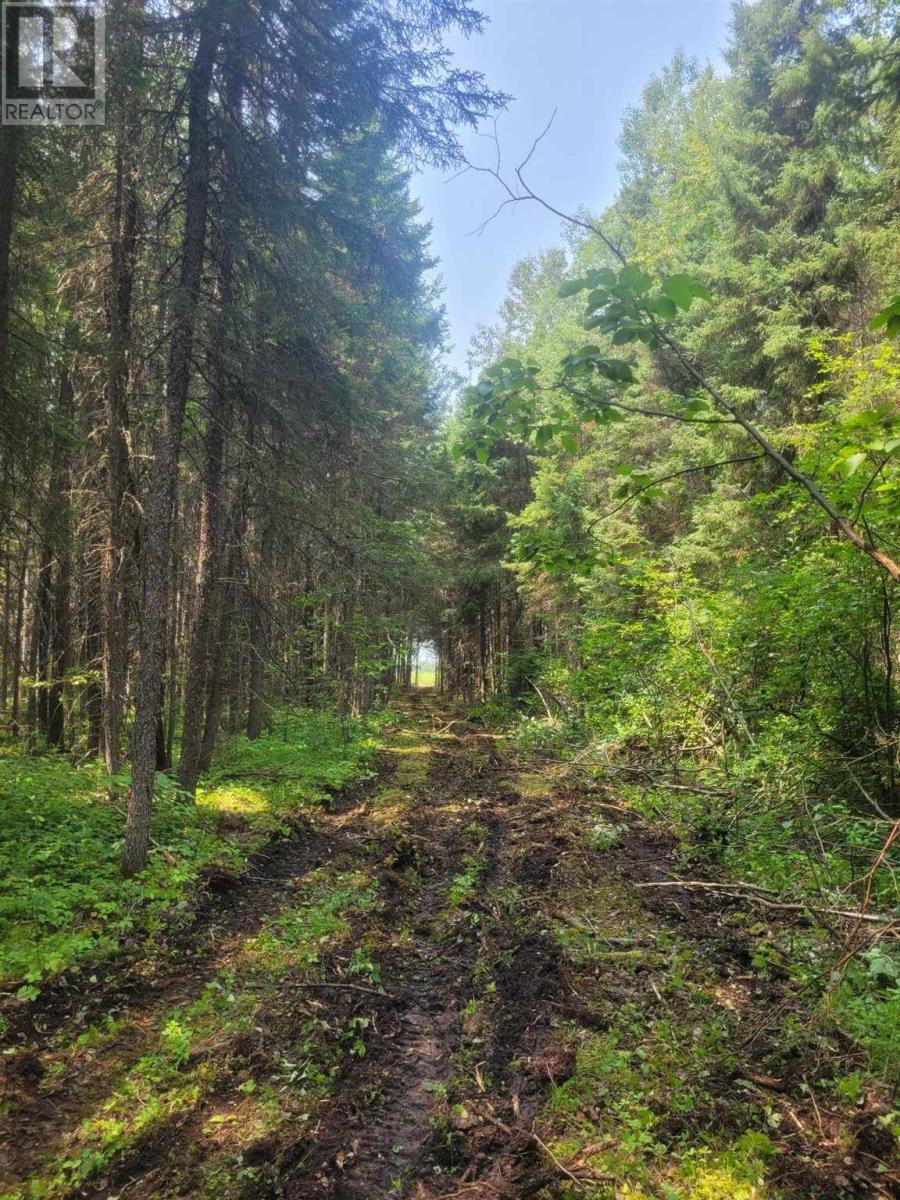 0 Dump Rd, Wabigoon, Ontario  P0V 1P0 - Photo 2 - TB242394