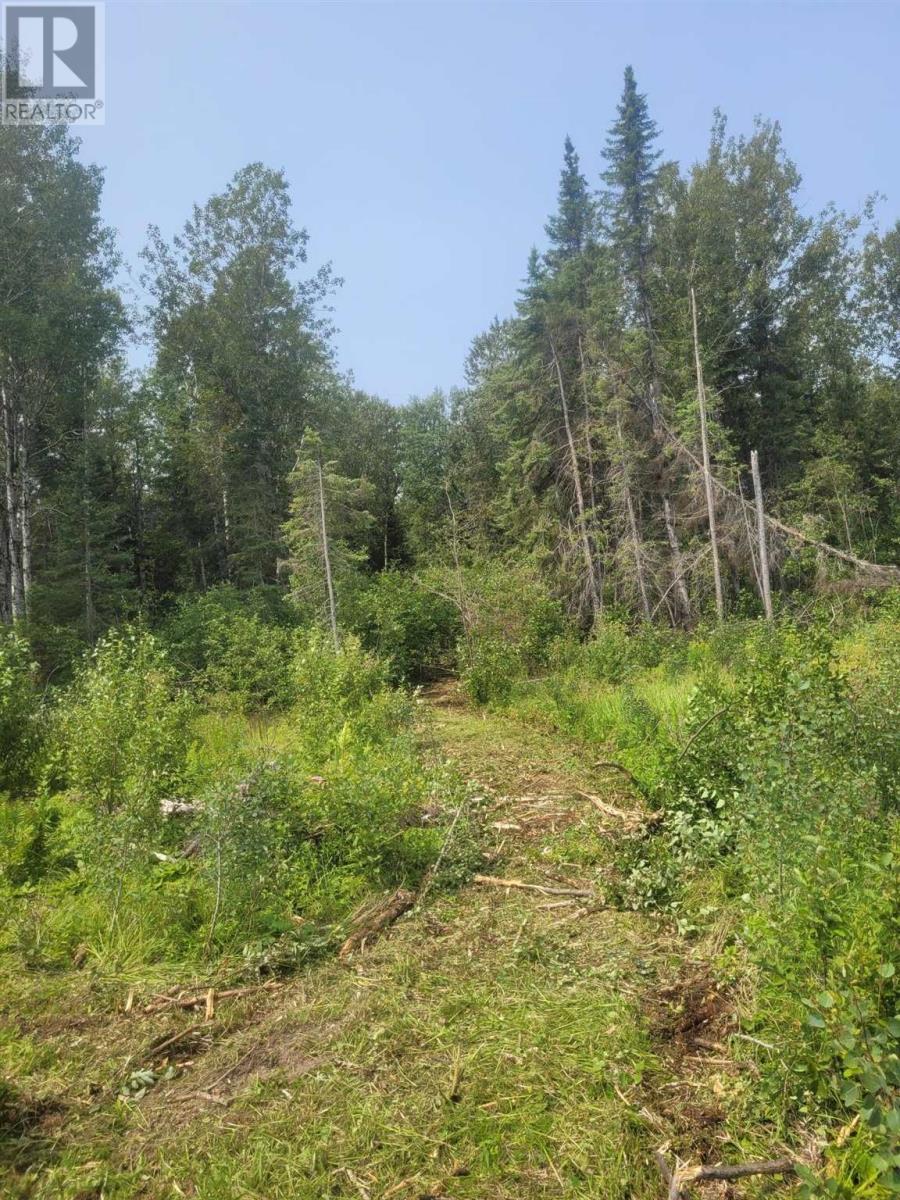 0 Dump Rd, Wabigoon, Ontario  P0V 1P0 - Photo 3 - TB242394