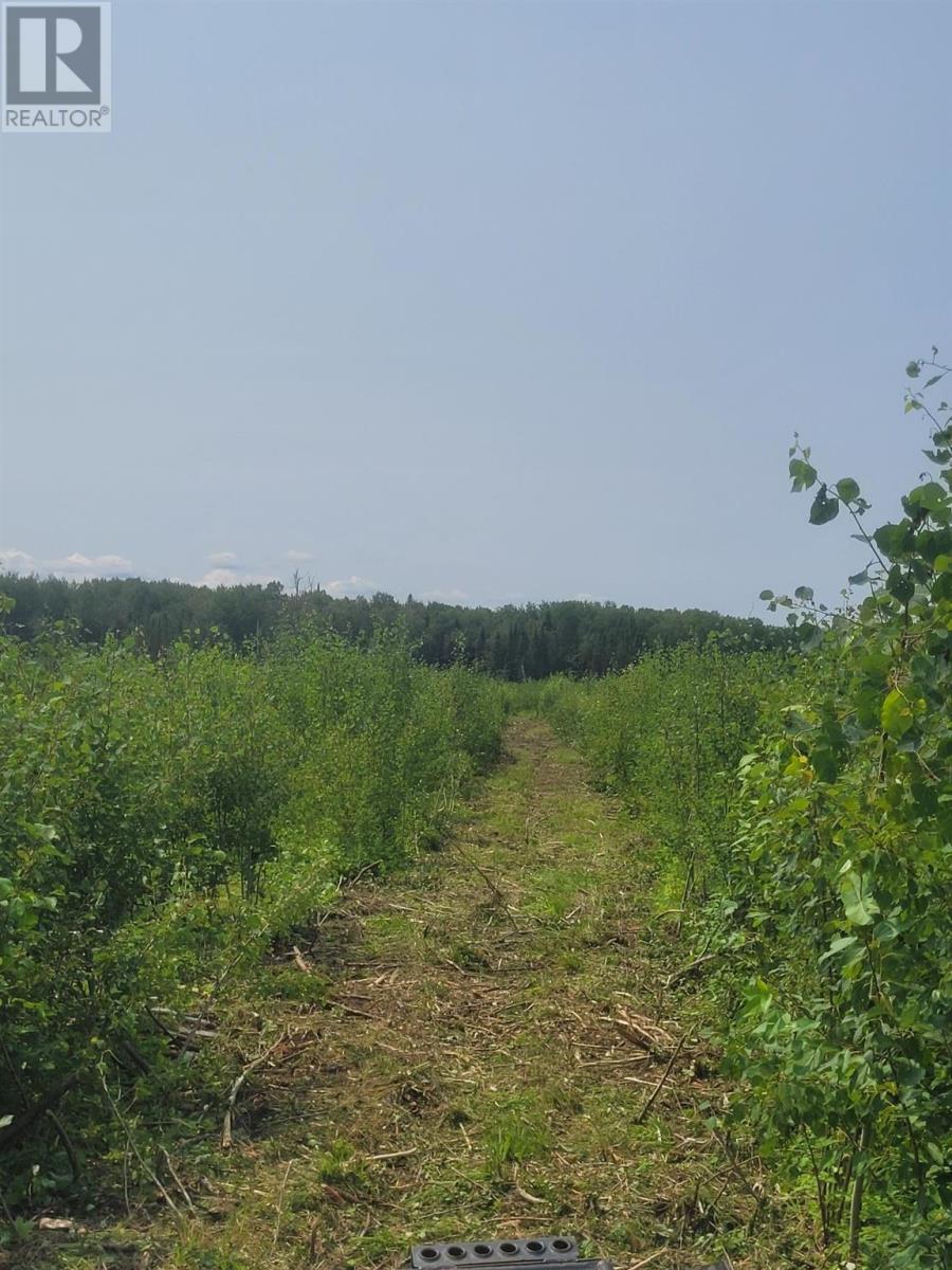 0 Dump Rd, Wabigoon, Ontario  P0V 1P0 - Photo 4 - TB242394