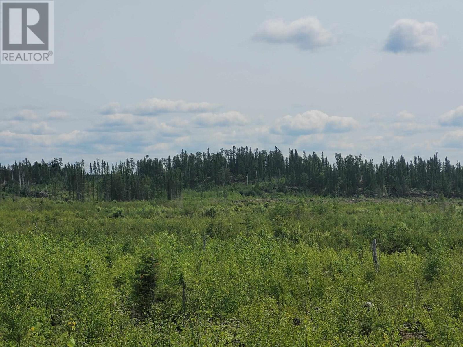 0 Dump Rd, Wabigoon, Ontario  P0V 1P0 - Photo 5 - TB242394