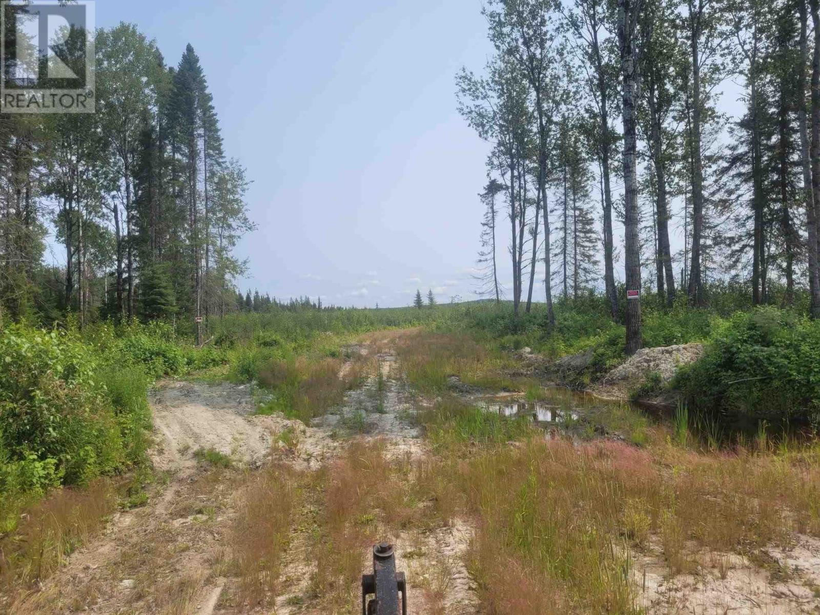 0 Dump Rd, Wabigoon, Ontario  P0V 1P0 - Photo 6 - TB242394