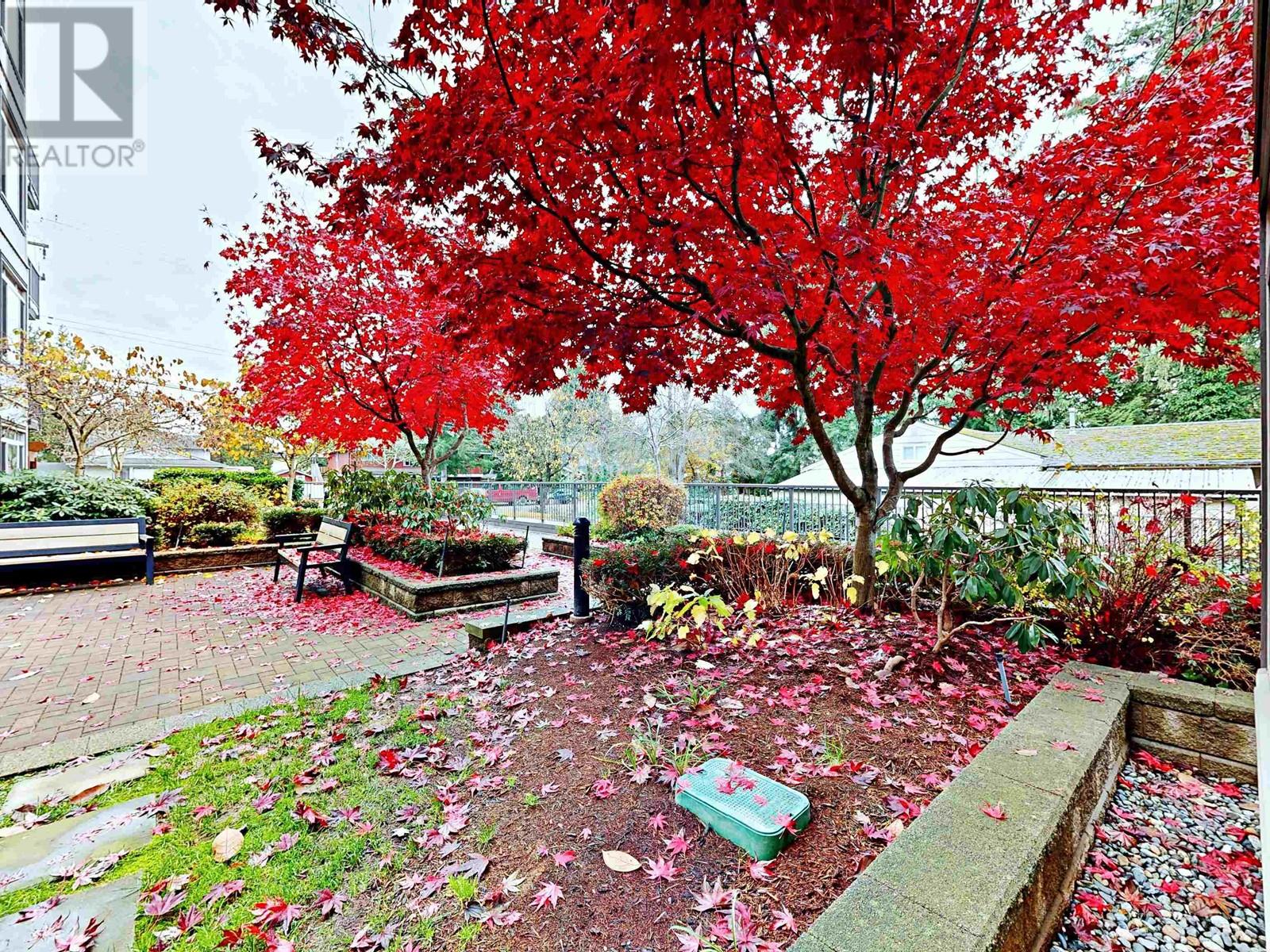 106 11887 Burnett Street, Maple Ridge, British Columbia V2X 6P6 - Photo 34 - R2960512
